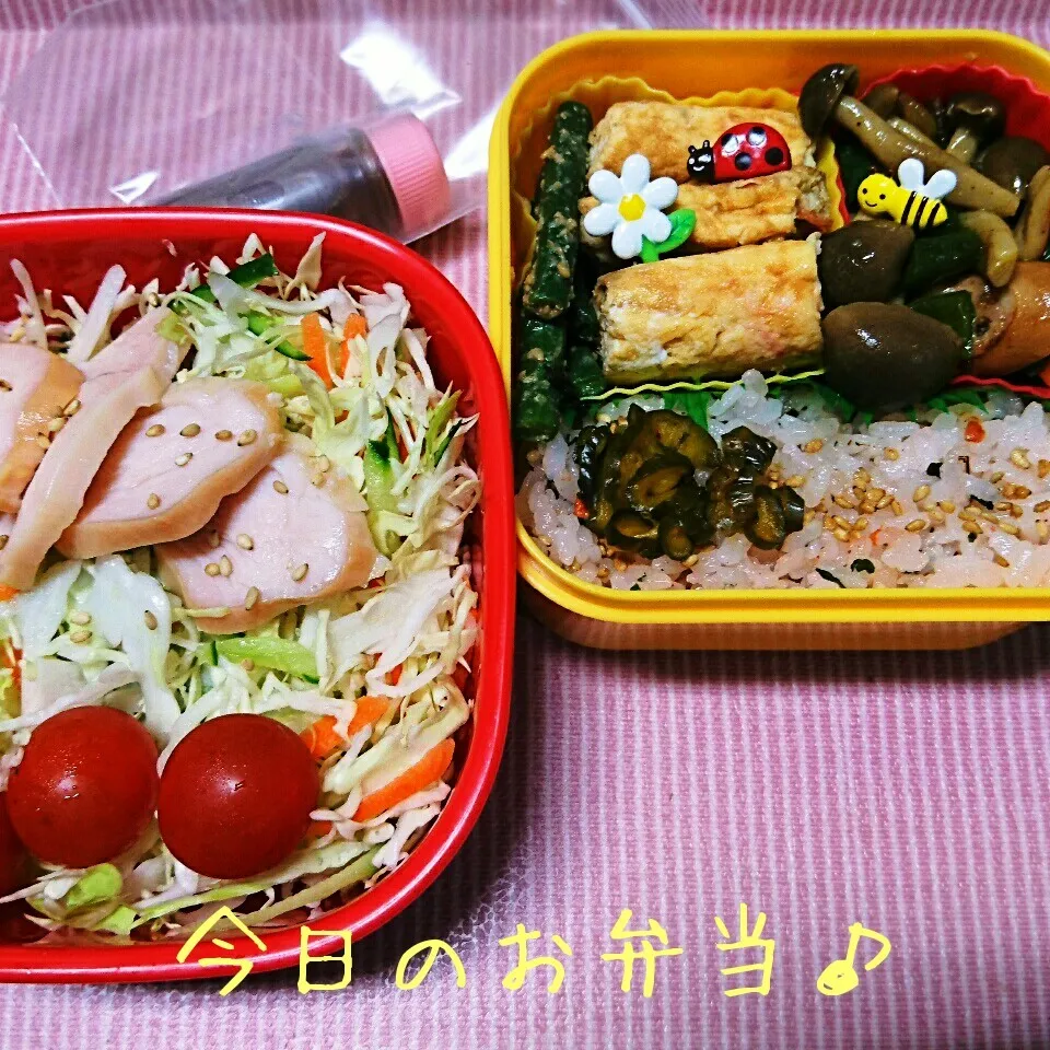 6/22…お弁当🎵|美津子さん