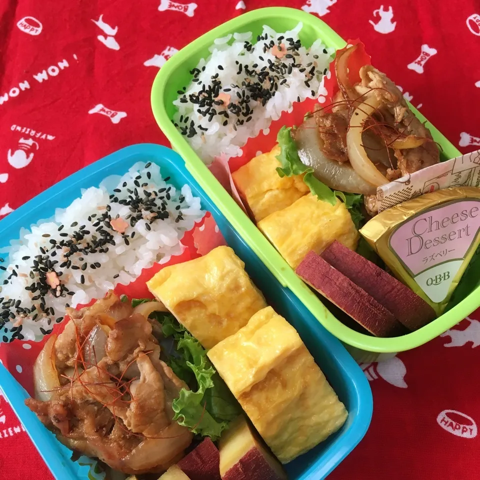 高校&大学3年女子♬お弁当|あこみさん