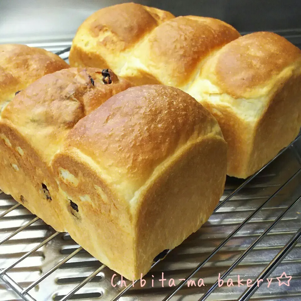 食パン☆|ちびたまさん