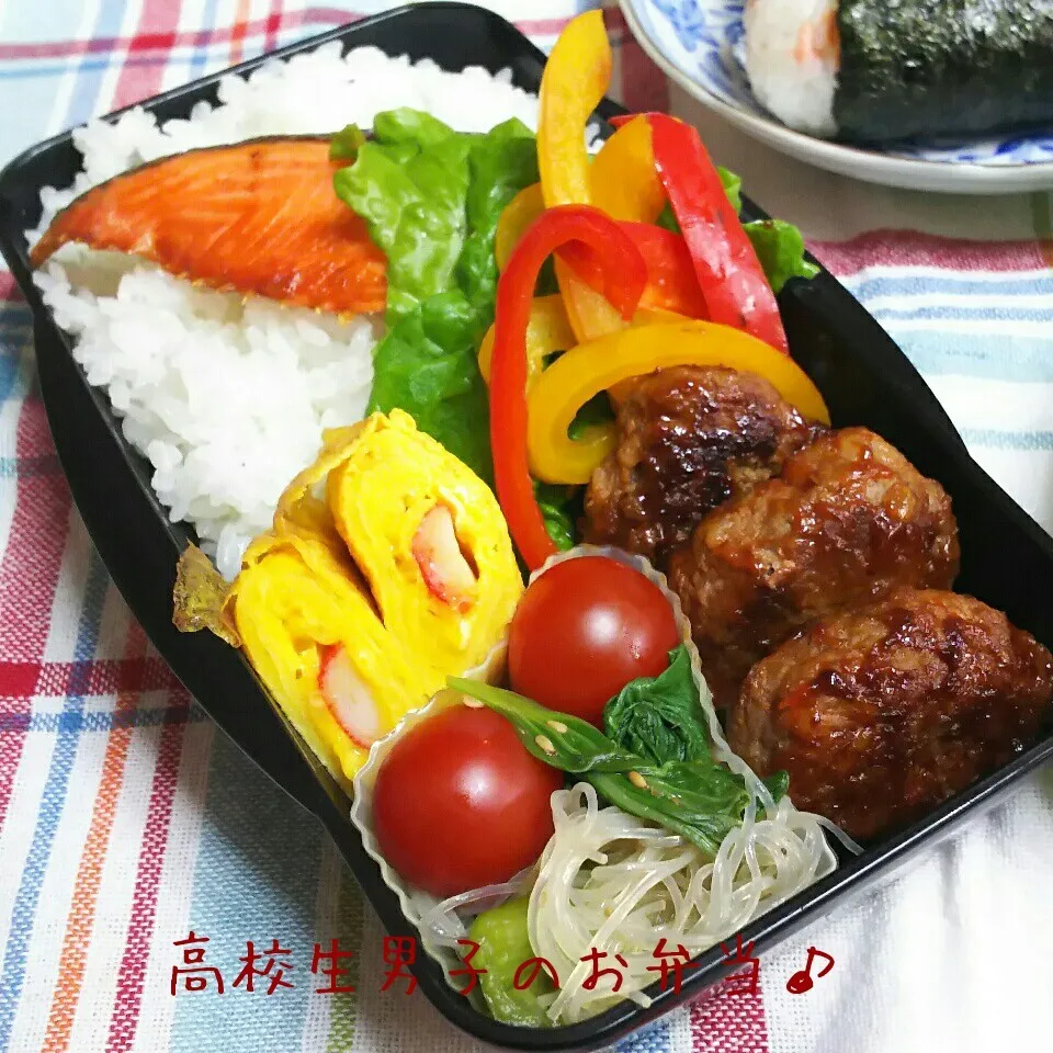 Snapdishの料理写真:ハンバーグ弁当♪|ちびたまさん