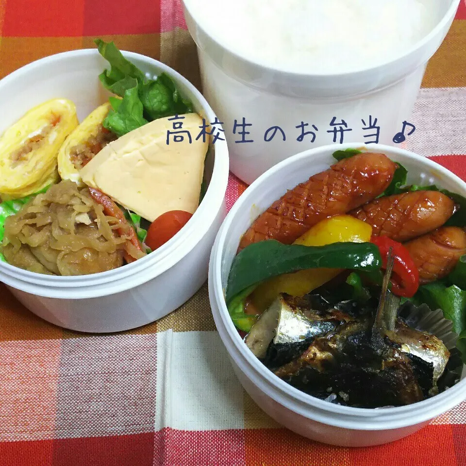 鰯の海苔ロール焼き弁当♪|ちびたまさん