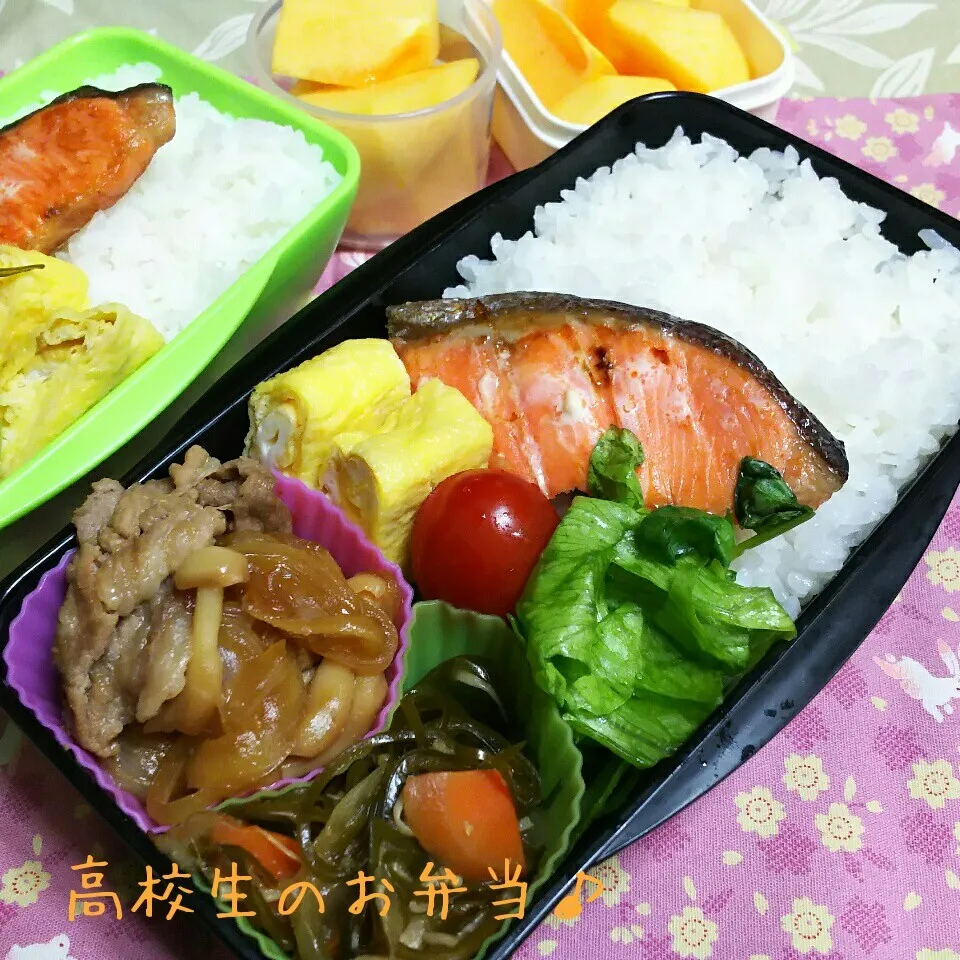 鮭弁当♪|ちびたまさん