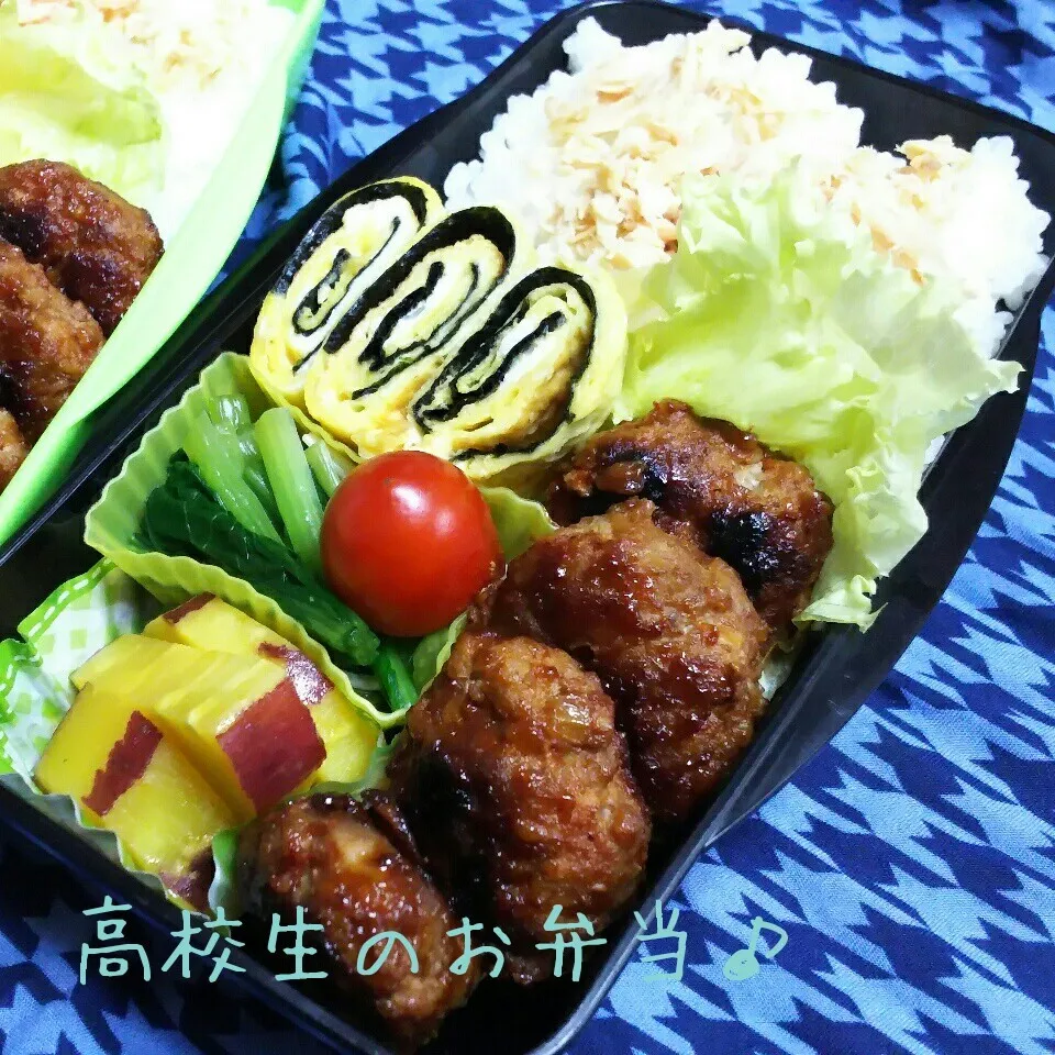 Snapdishの料理写真:ハンバーグ弁当♪|ちびたまさん