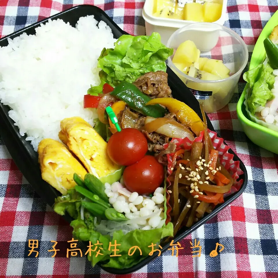 Snapdishの料理写真:焼肉弁当♪|ちびたまさん