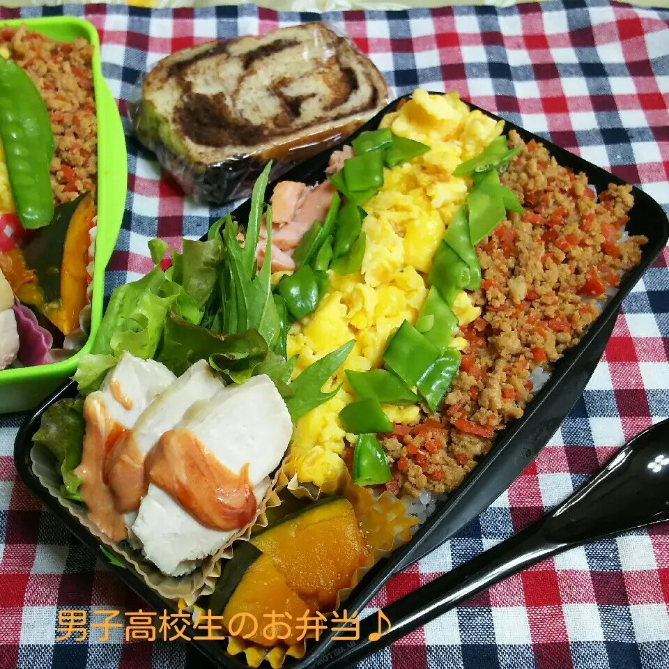 Snapdishの料理写真:そぼろ丼弁当♪|ちびたまさん