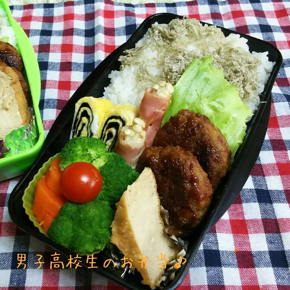 Snapdishの料理写真:ハンバーグ弁当♪|ちびたまさん