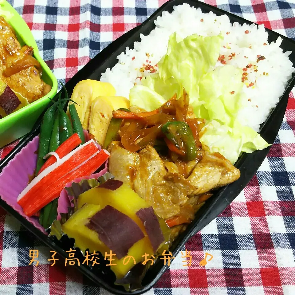 Snapdishの料理写真:ポークケチャップ弁当♪|ちびたまさん