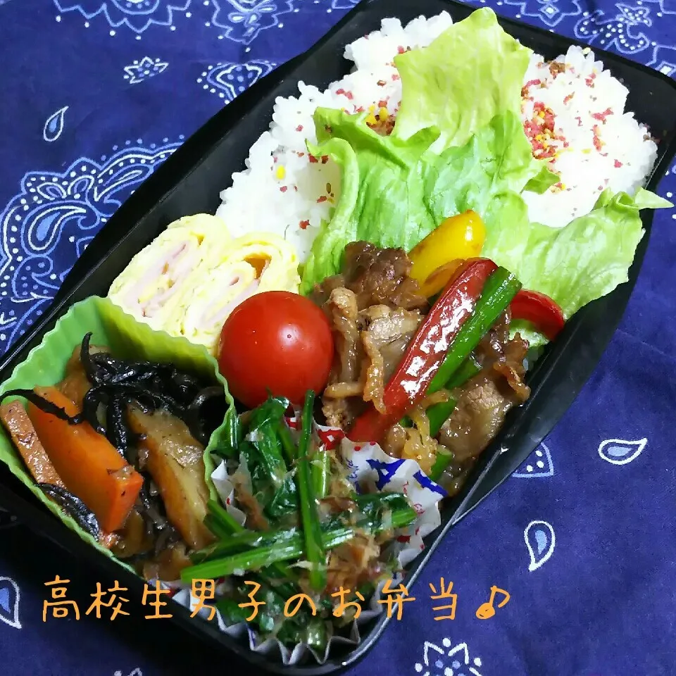 Snapdishの料理写真:牛肉オイスター炒め弁当♪|ちびたまさん