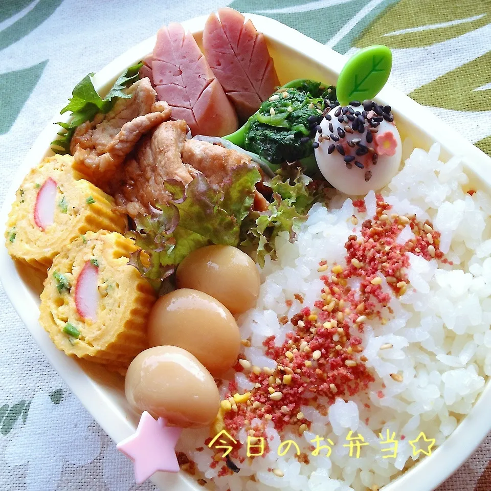 Snapdishの料理写真:今日のお弁当☆|さくらんさん