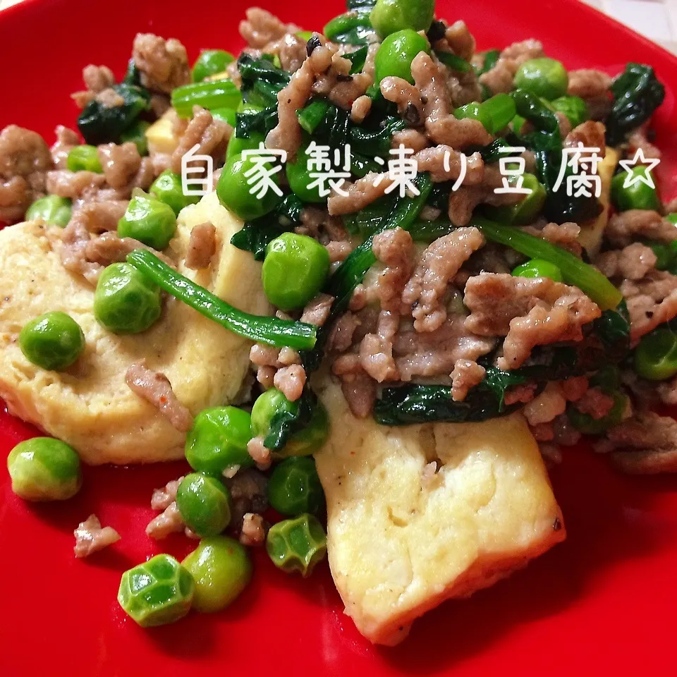 自家製凍り豆腐とひき肉塩だれ炒め|さくらんさん