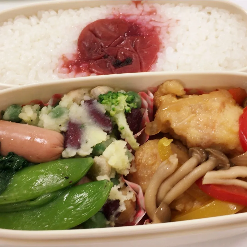 大豆なし弁当|はちさん