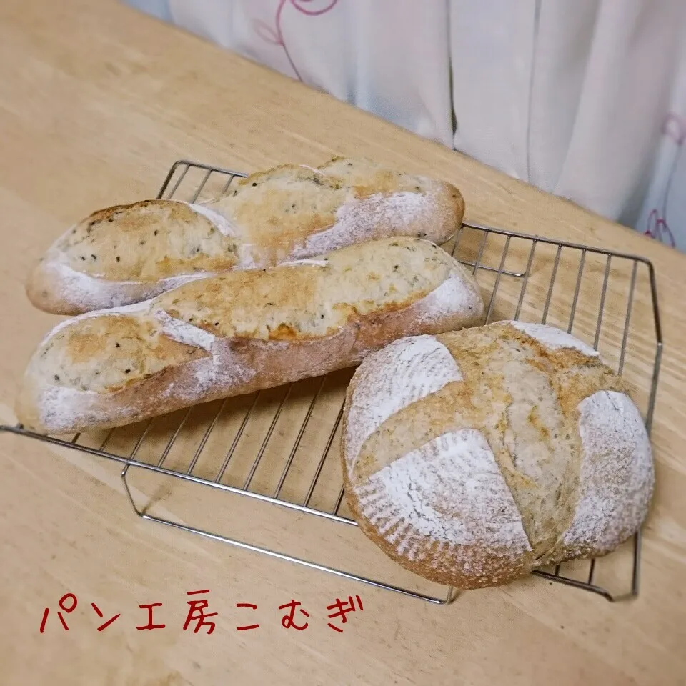 ゴマフランスパン&レーズンカンパーニュ|こむぎさん