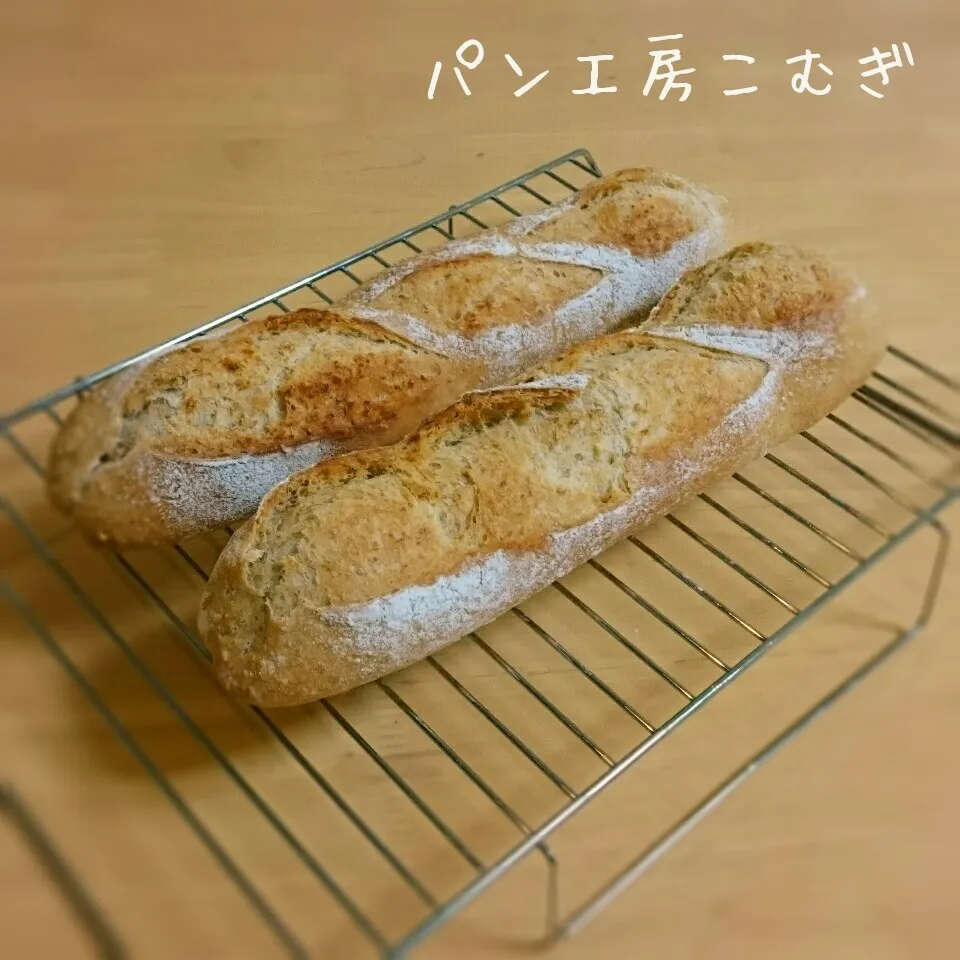 グラハム粉入りフランスパン(ヨーグルト酵母)|こむぎさん