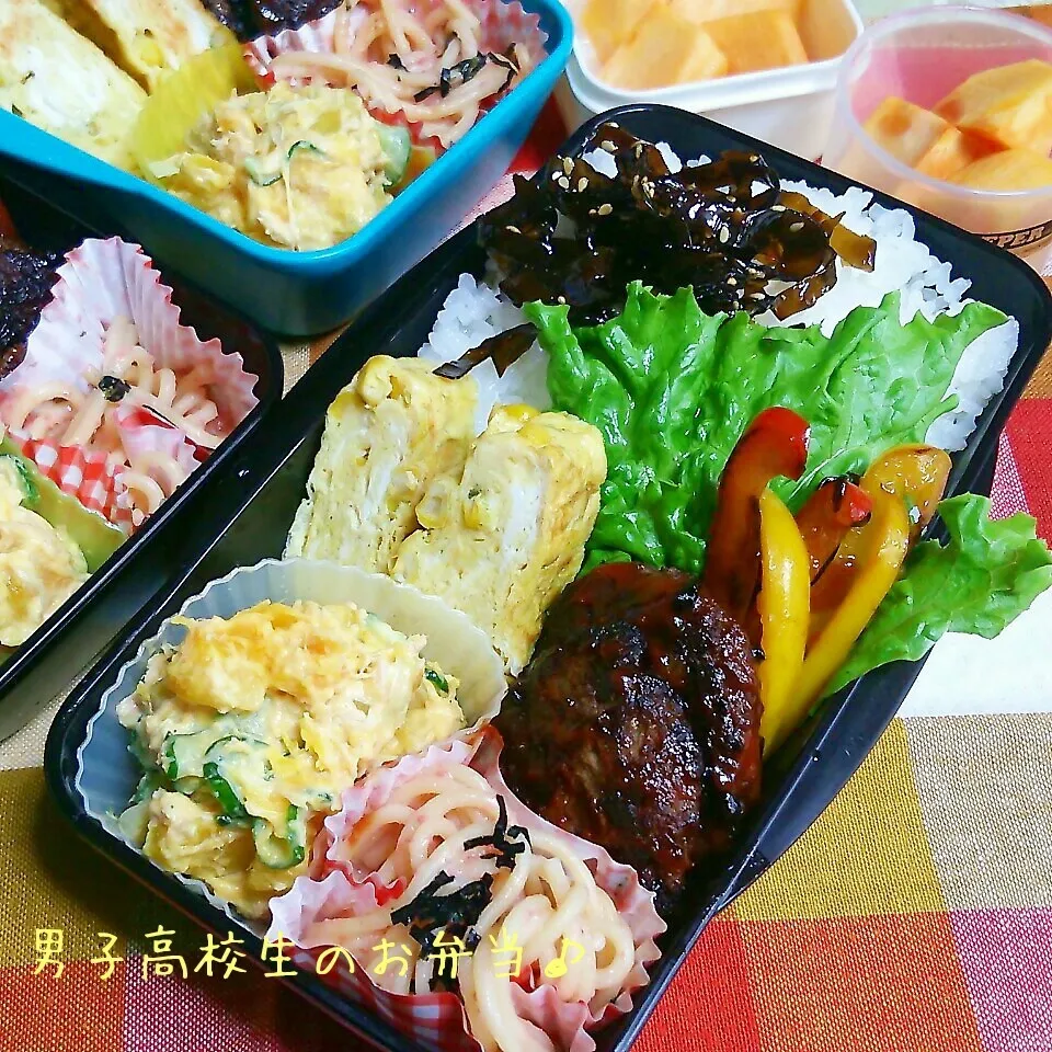 ハンバーグ弁当♪|ちびたまさん