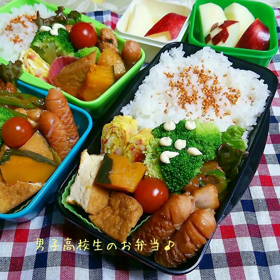 Snapdishの料理写真:鶏ケチャップ炒め弁当♪|ちびたまさん