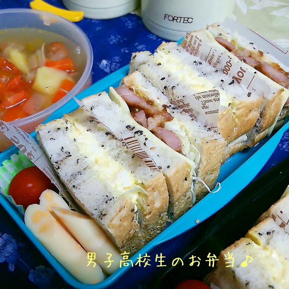 Snapdishの料理写真:サンドイッチ弁当♪|ちびたまさん