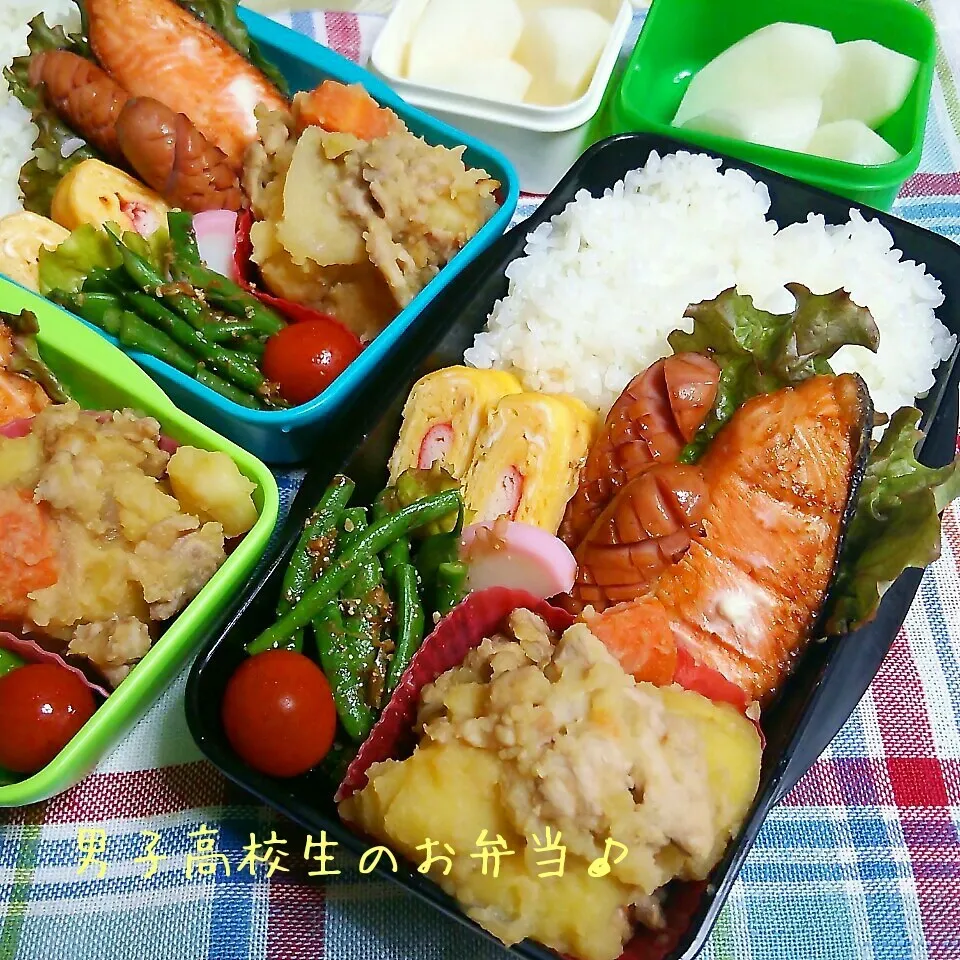 鮭&肉じゃが弁当♪|ちびたまさん