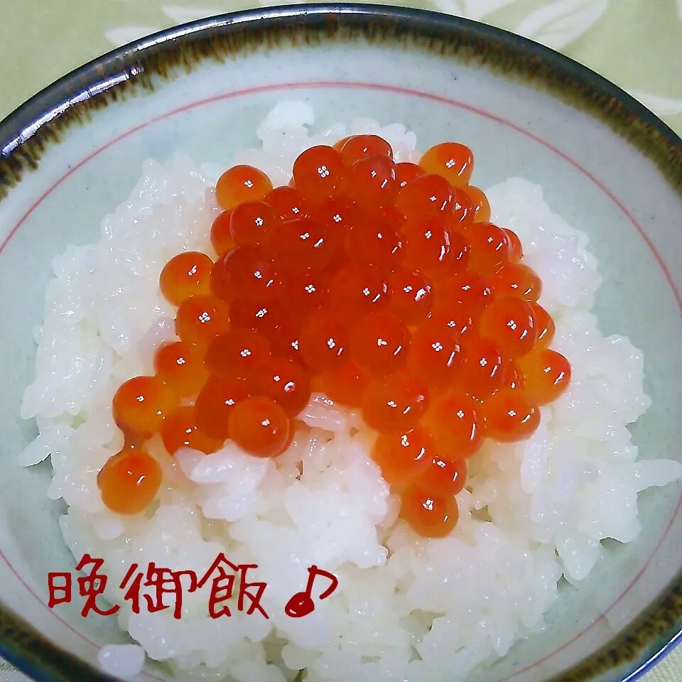 いくらの醤油漬け♪|ちびたまさん