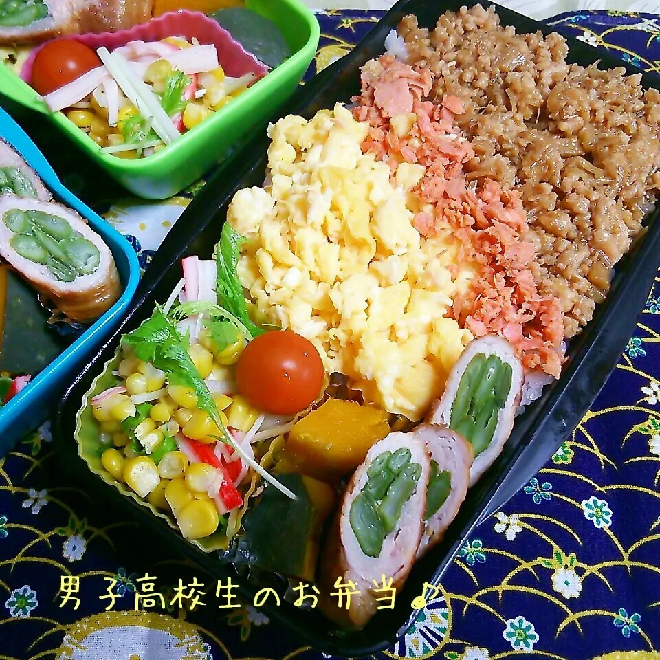 そぼろ丼弁当♪|ちびたまさん