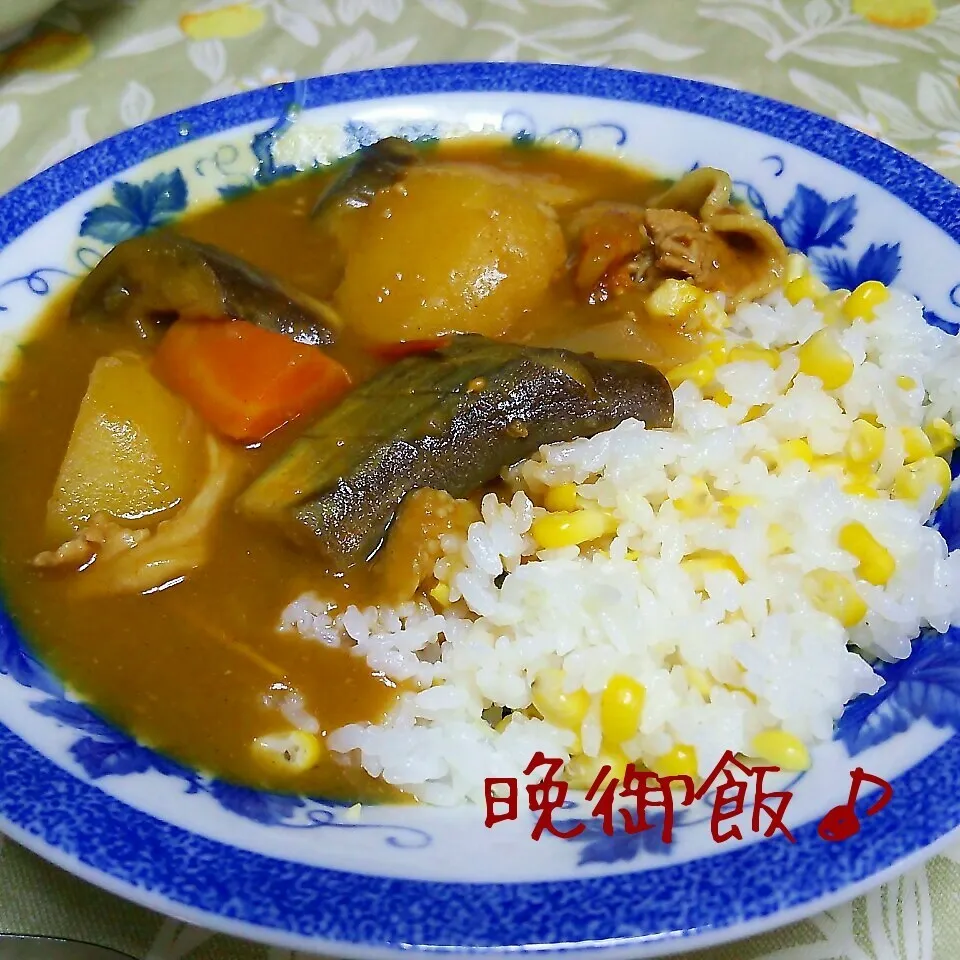 カレーライス☆|ちびたまさん