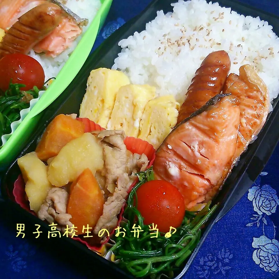 Snapdishの料理写真:鮭弁当♪|ちびたまさん