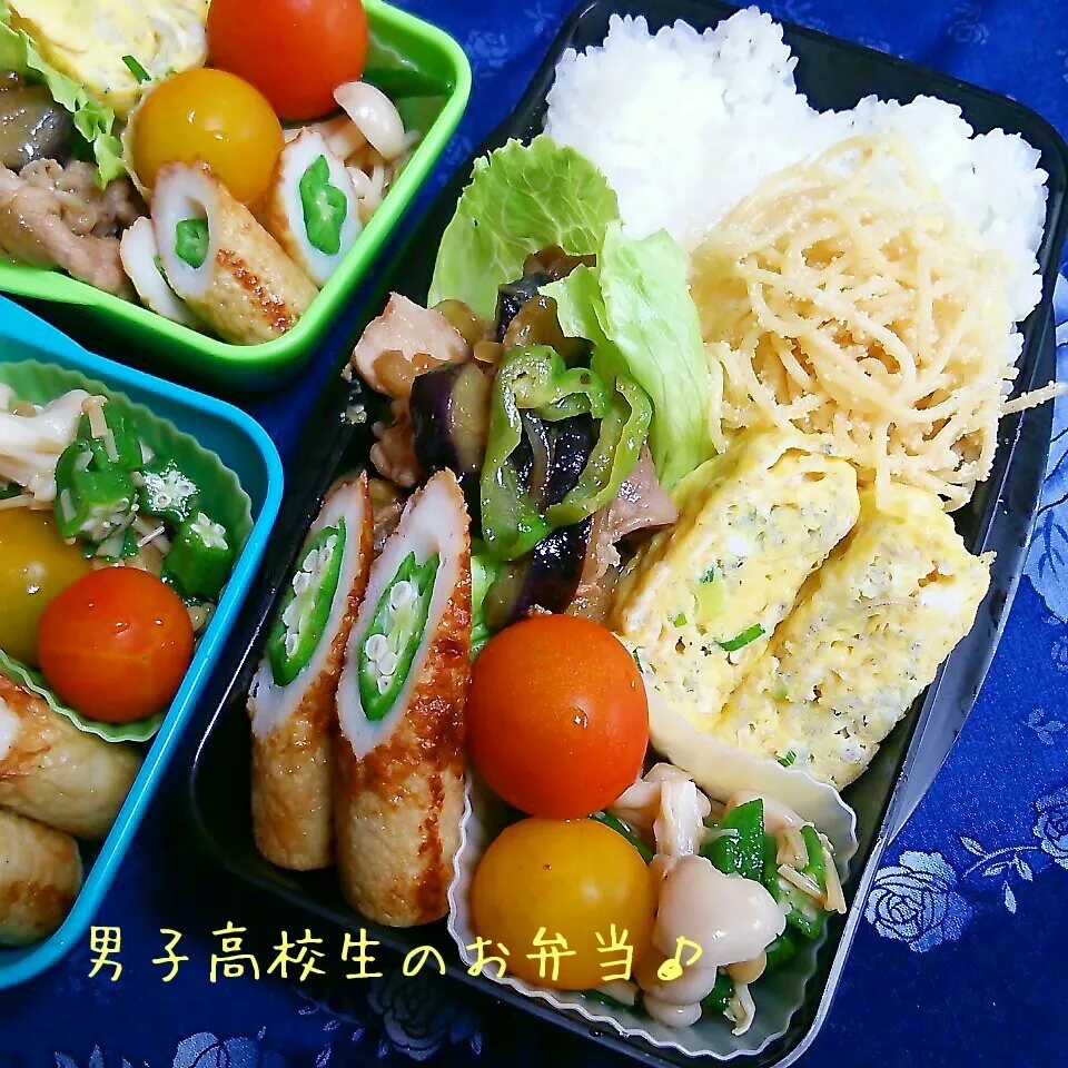 豚と茄子のさっぱり生姜焼き弁当♪|ちびたまさん