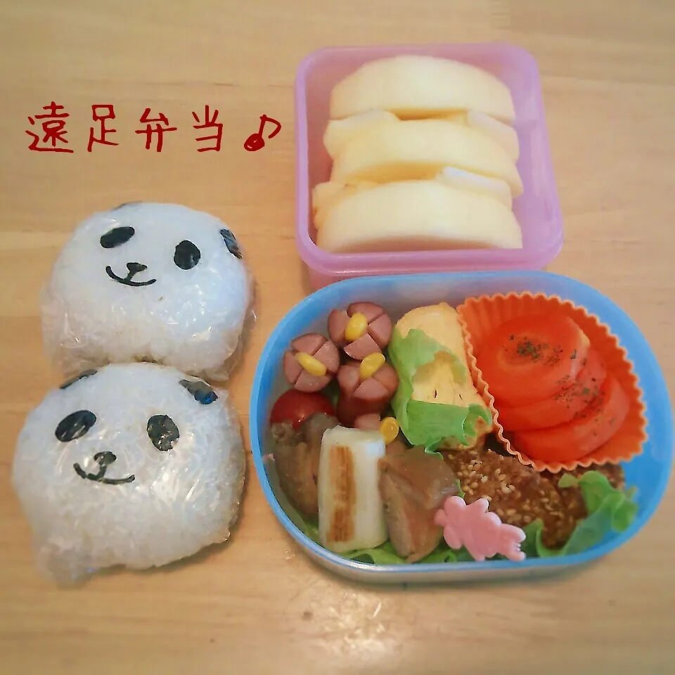 幼稚園の遠足弁当♪|こむぎさん