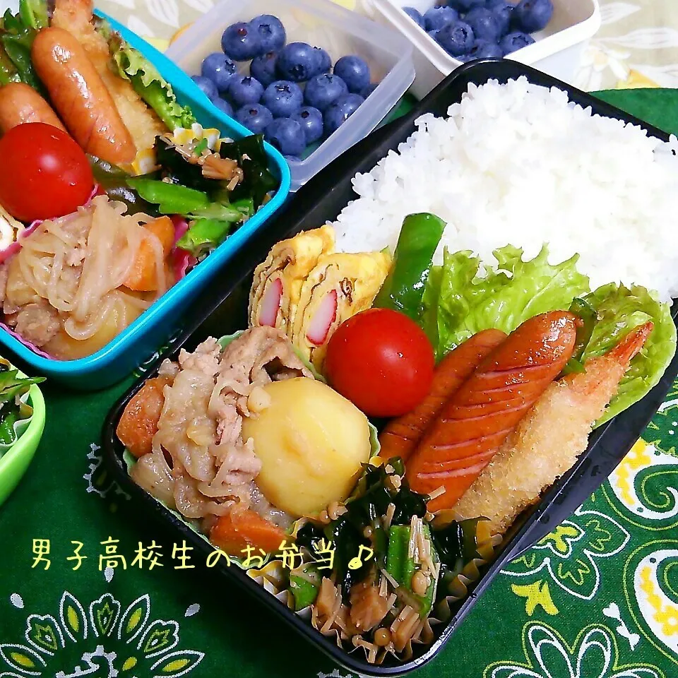 肉じゃが弁当♪|ちびたまさん