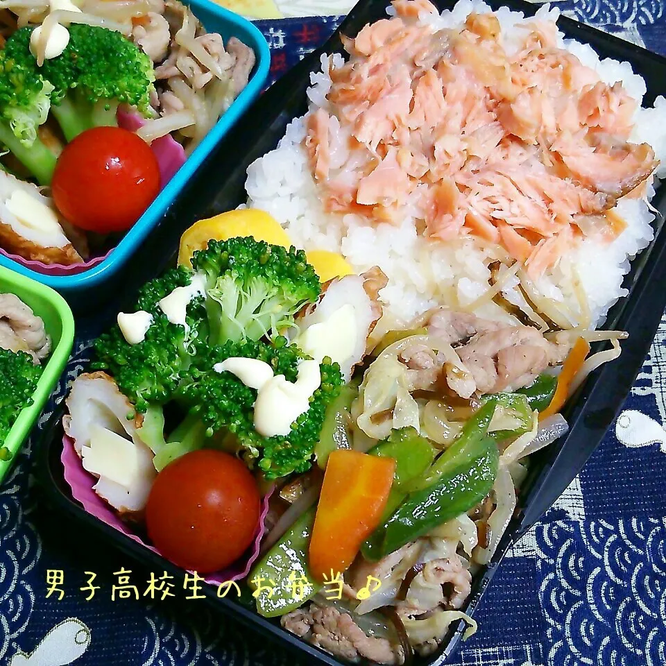 Snapdishの料理写真:鮭＆肉野菜炒め弁当♪|ちびたまさん