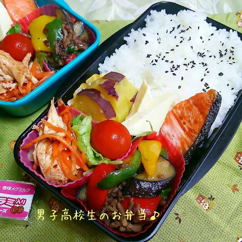 茄子の味噌炒め弁当♪|ちびたまさん