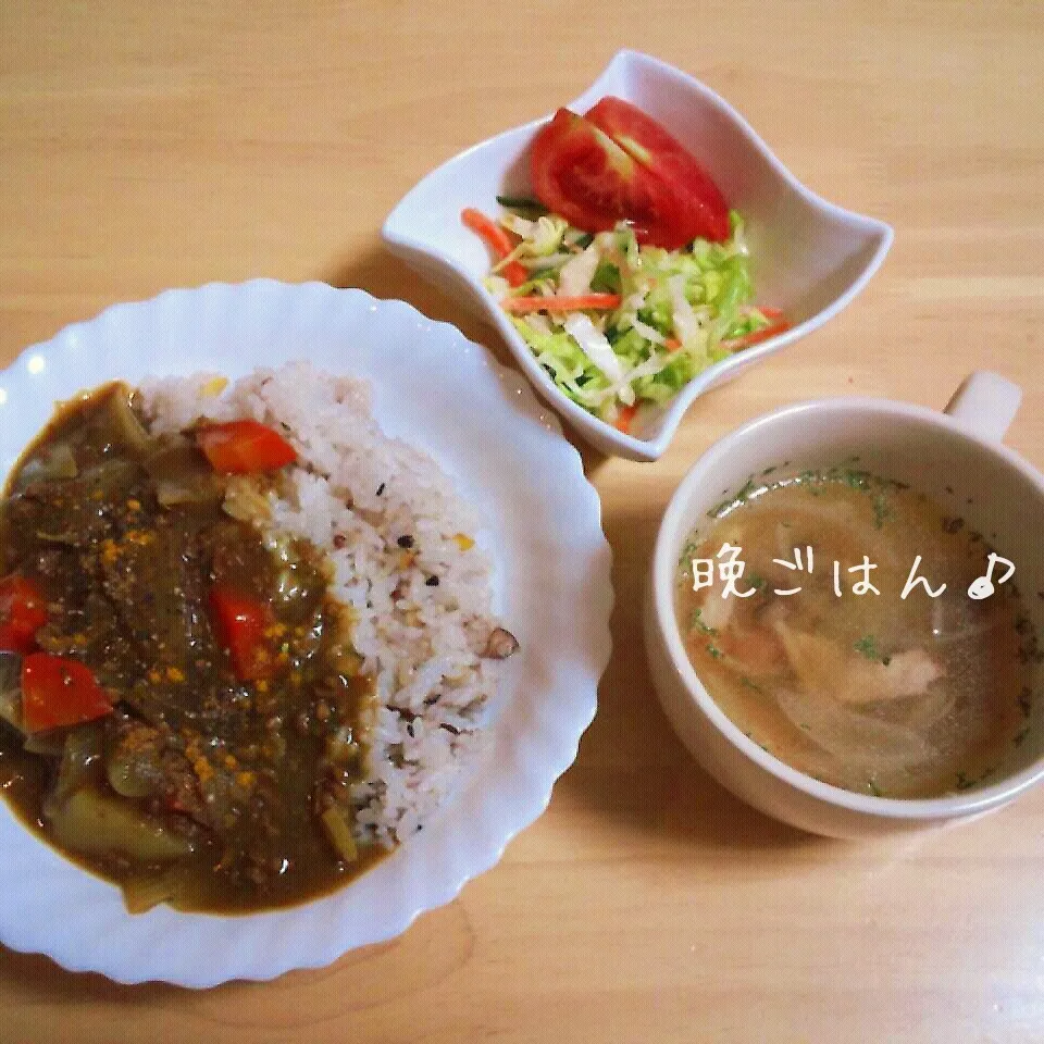 こむぎ家の晩ご飯（4月30日）|こむぎさん