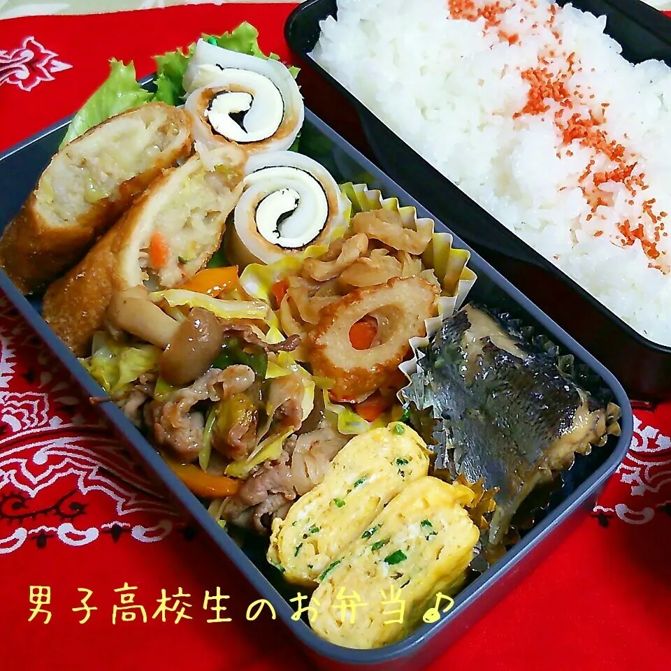 Snapdishの料理写真:春キャベツの野菜炒め弁当♪|ちびたまさん