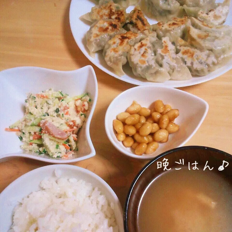 こむぎ家の晩ご飯（4月20日）|こむぎさん