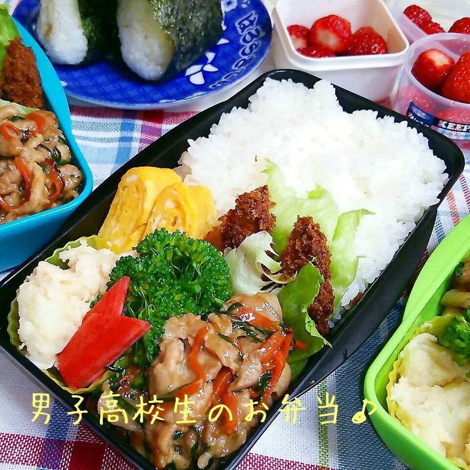 Snapdishの料理写真:豚プルコギ風炒め弁当♪|ちびたまさん