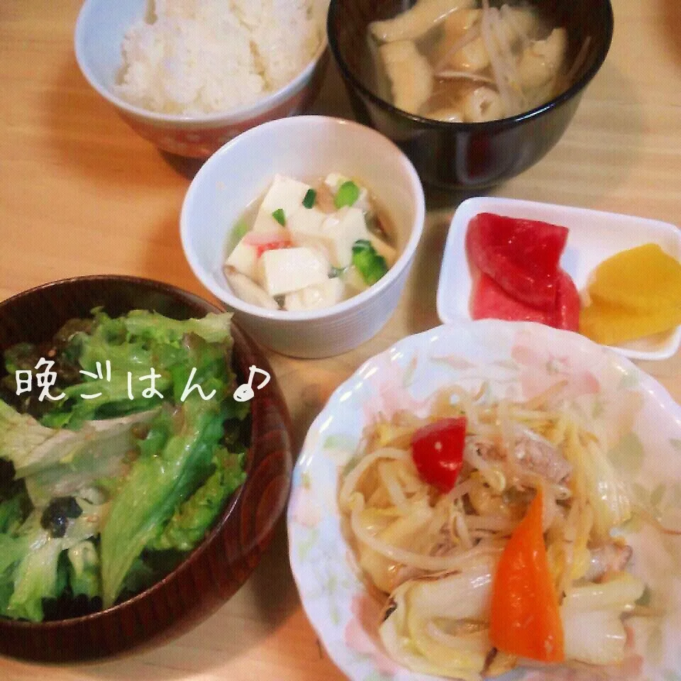 こむぎ家の晩ご飯（3月9日）|こむぎさん