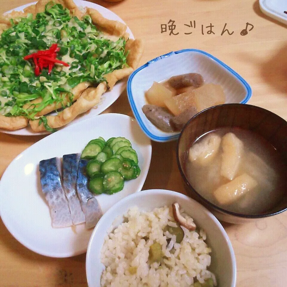 こむぎ家の晩ご飯（3月6日）|こむぎさん