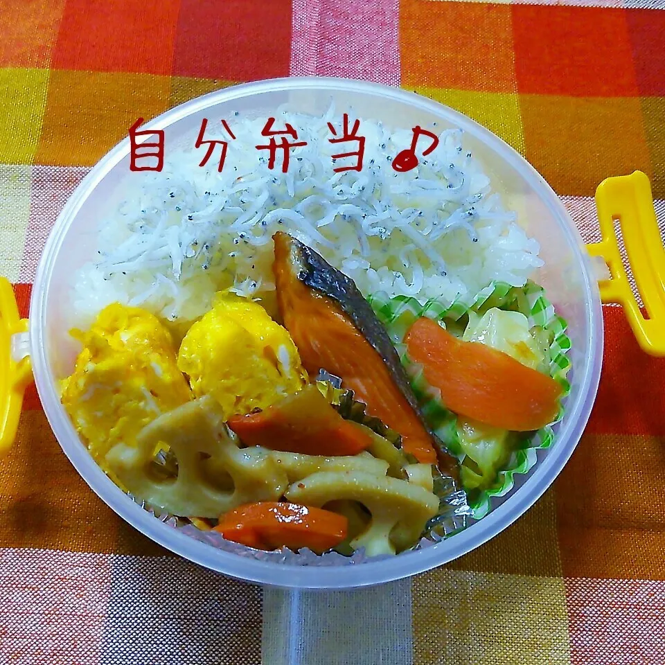 Snapdishの料理写真:鮭弁当♪|ちびたまさん