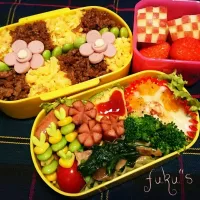 Snapdishの料理写真:春の遠足のお弁当②|ぷ～にゃんさん