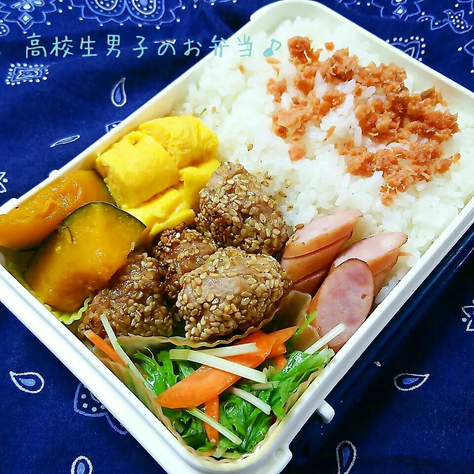 豚ごまだんごのお弁当♪|ちびたまさん