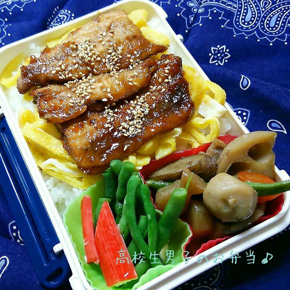 さんまの蒲焼き丼弁当♪|ちびたまさん