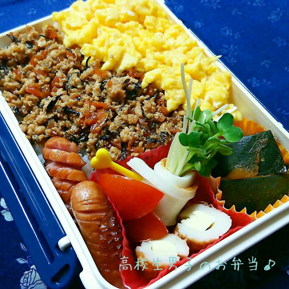 二色そぼろ丼弁当♪|ちびたまさん