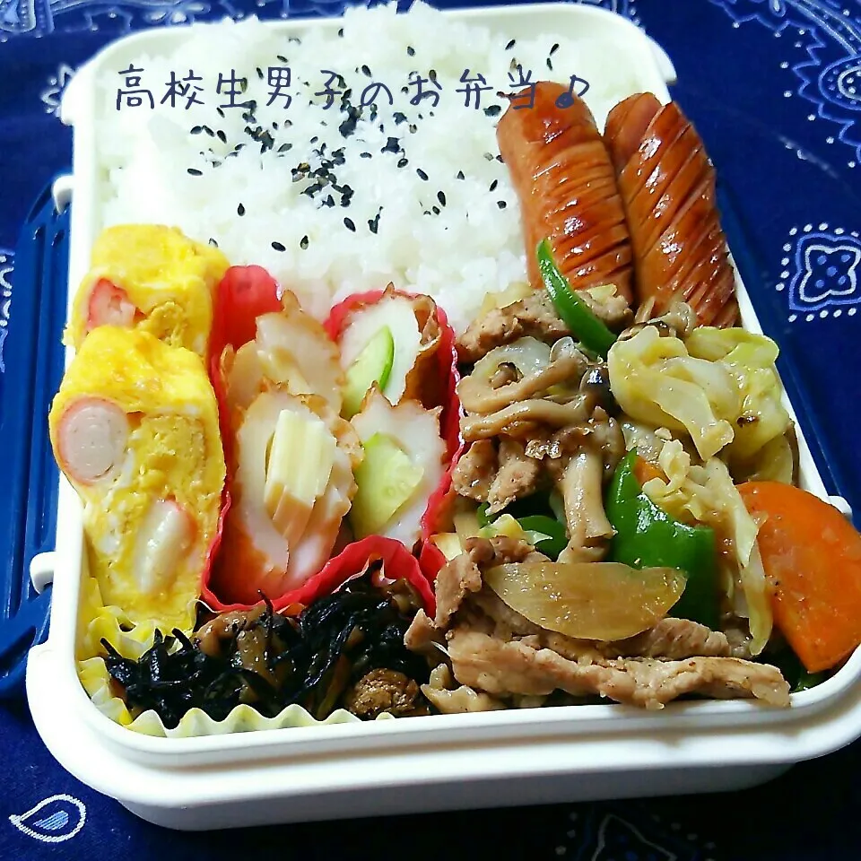 肉野菜炒め弁当♪|ちびたまさん