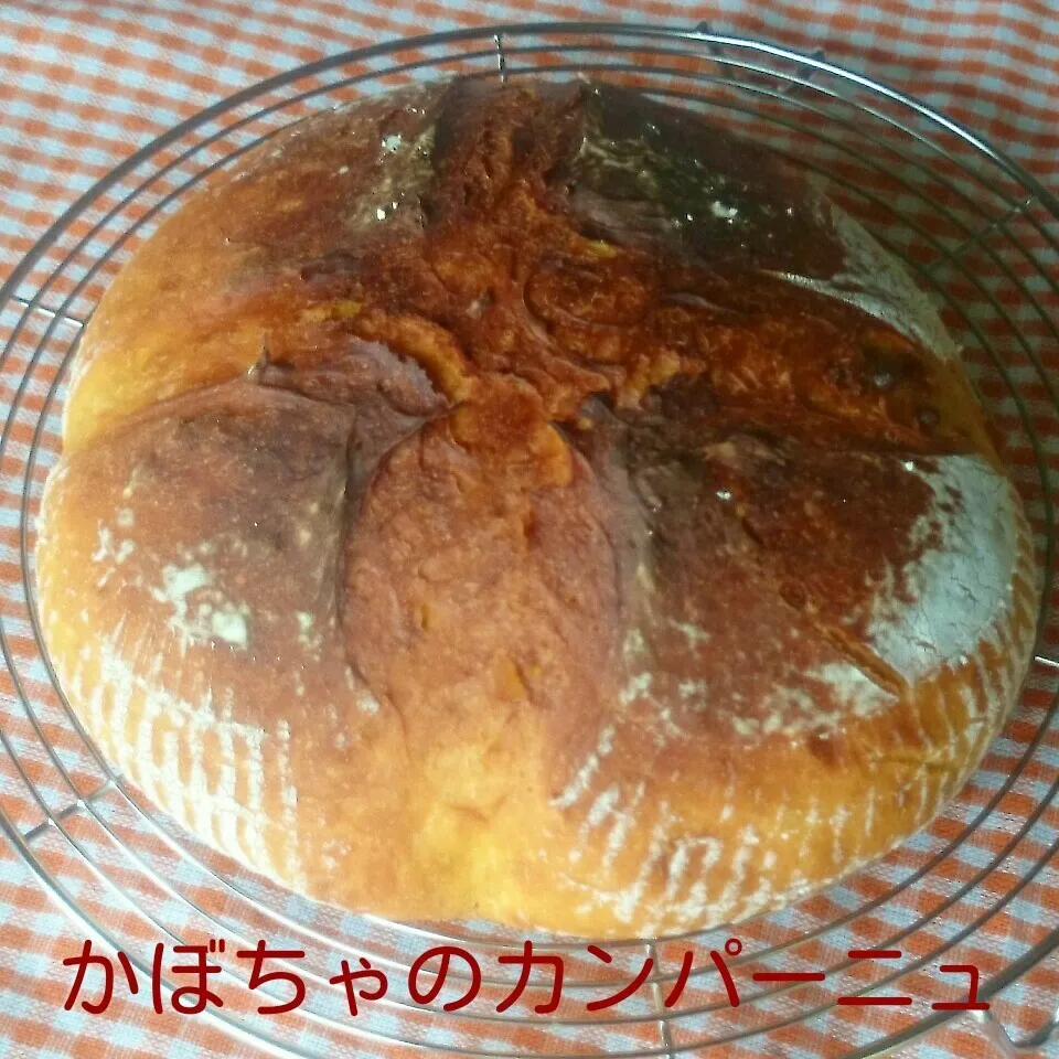 Snapdishの料理写真:ユキさんのまねっこ☆かぼちゃのカンパーニュ|あやちゃんママさん