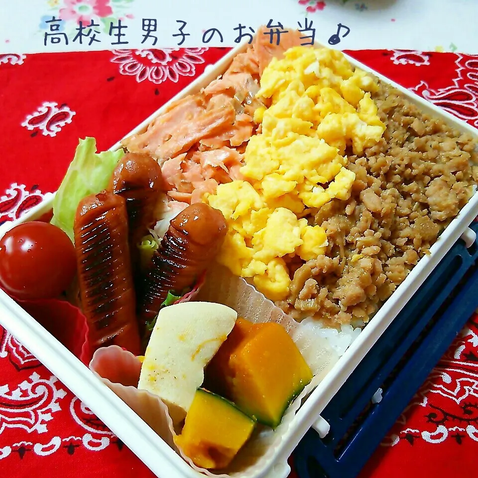 Snapdishの料理写真:三色そぼろ弁当♪|ちびたまさん