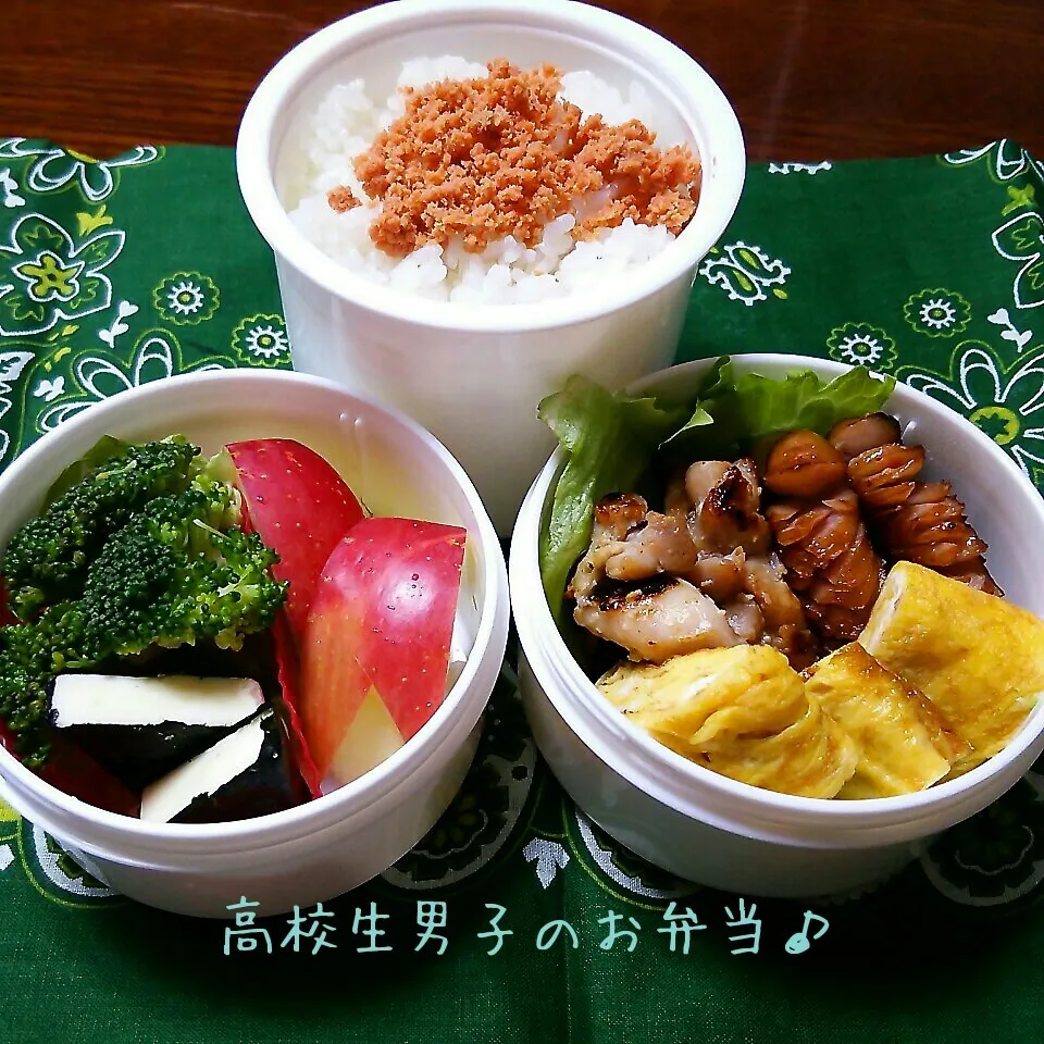 鶏肉の塩麹焼きメインのお弁当♪|ちびたまさん