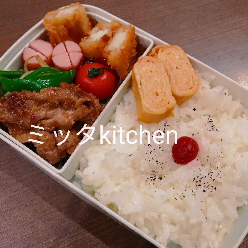 パパ弁当|ミッタさん