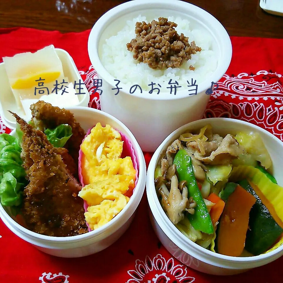 肉野菜炒めメインのお弁当♪|ちびたまさん