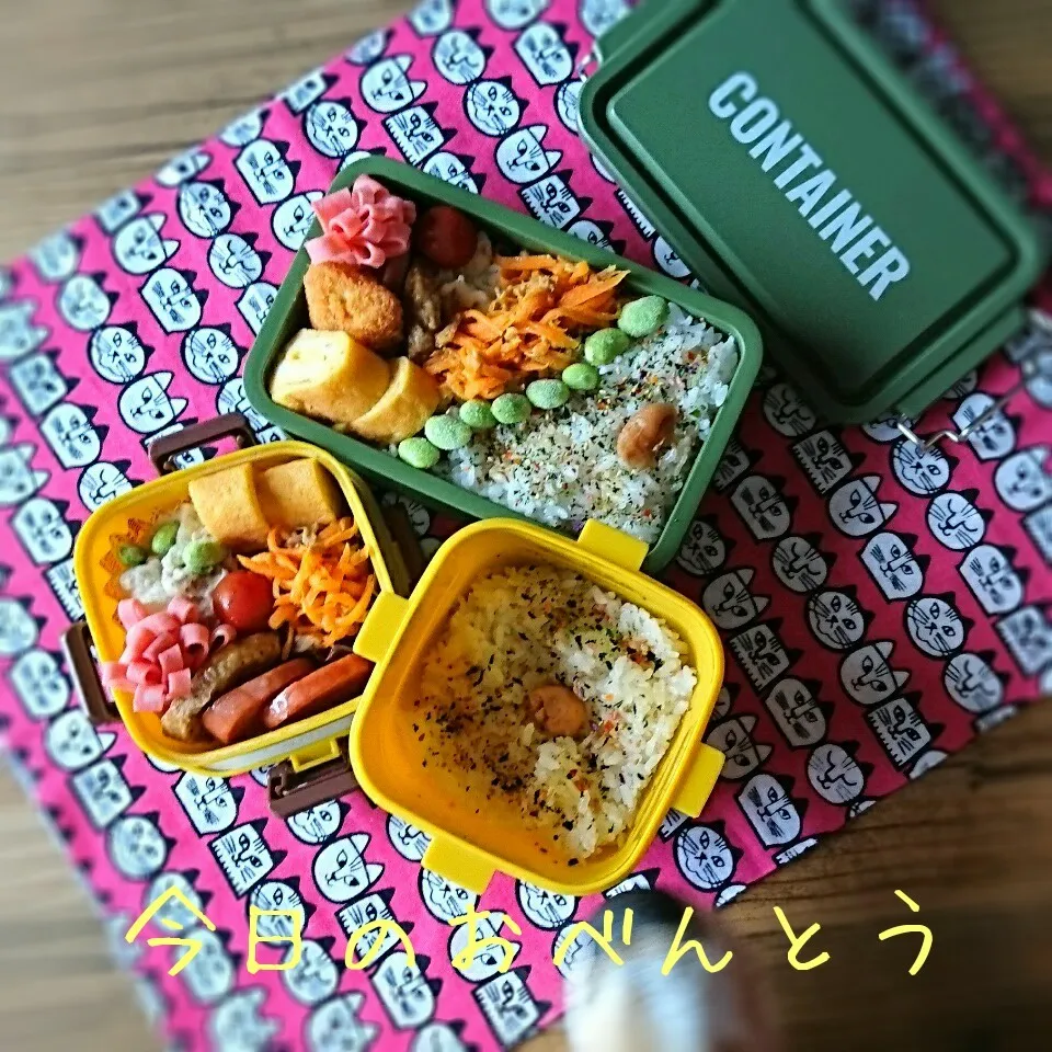 息子弁当・おっと弁当 6/14|ふ〜たん**さん