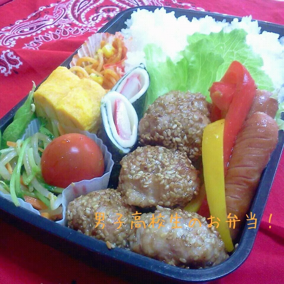 Snapdishの料理写真:肉団子弁当♪|ちびたまさん