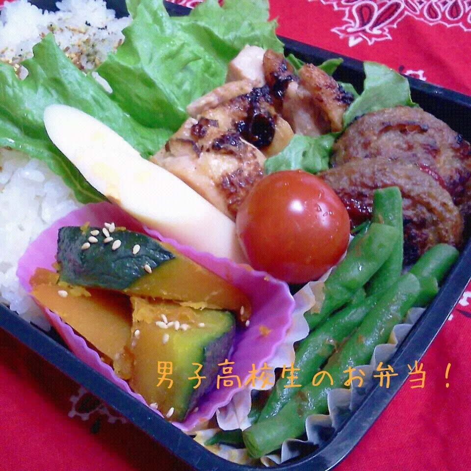 Snapdishの料理写真:チキンソテーとハンバーグ弁当♪|ちびたまさん